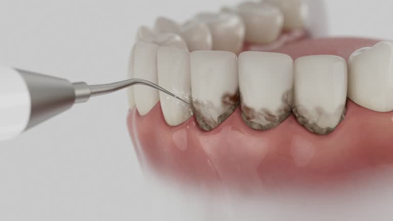 Reliable Dental contractor in Lake Barcroft, VA by Dentist Open Now